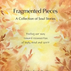 Fragmented Pieces Cover